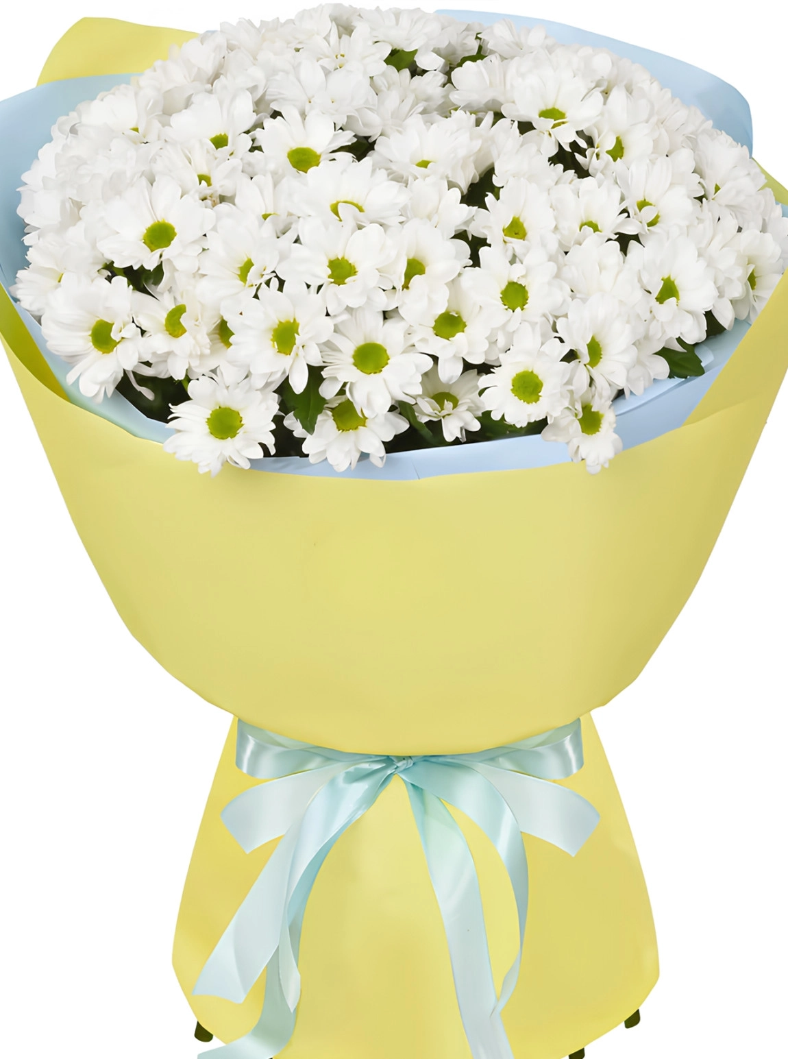 Büyük Kağıtta Papatya Buketi