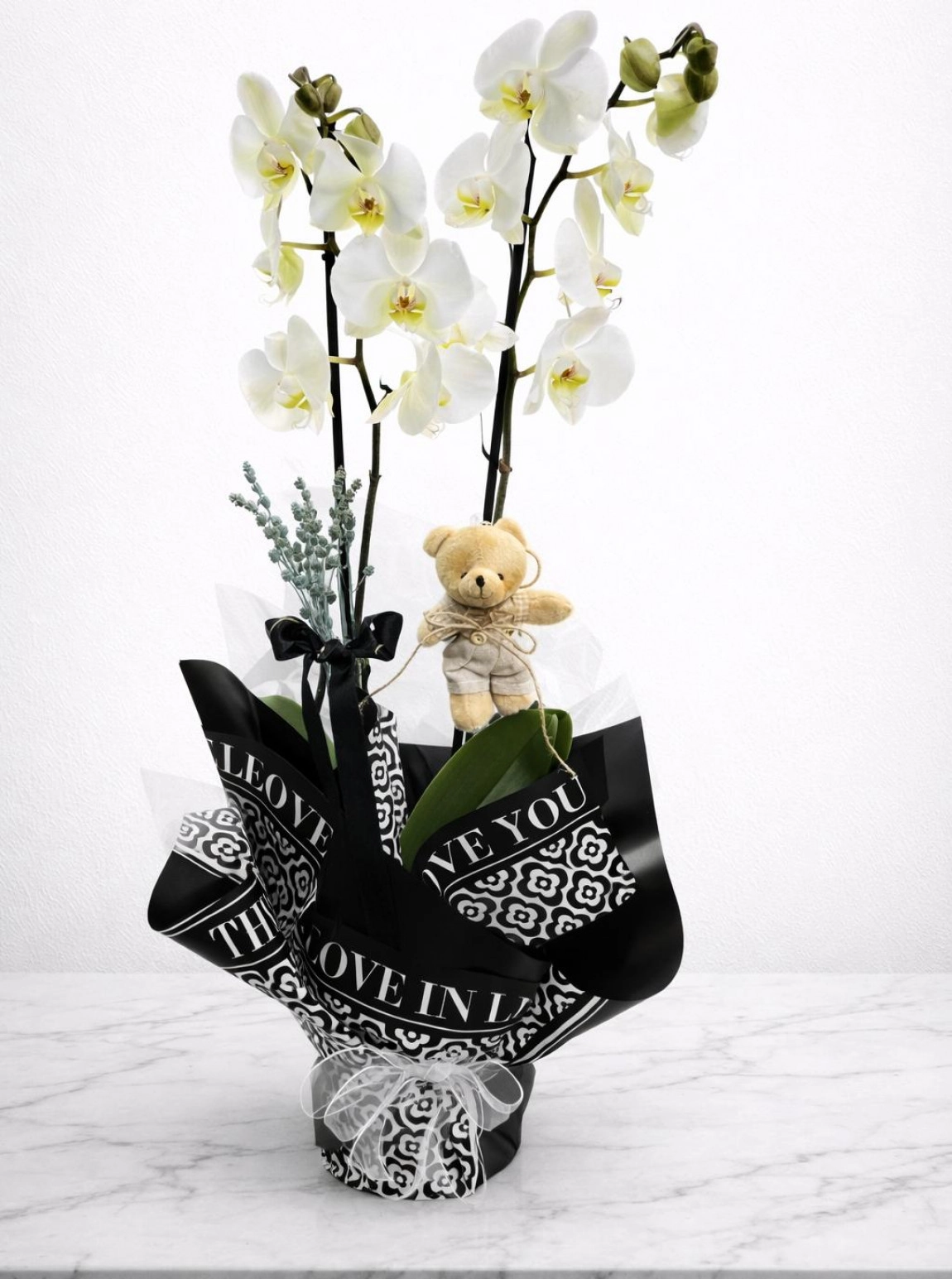 Çi̇ft Dal  İthal Orki̇de