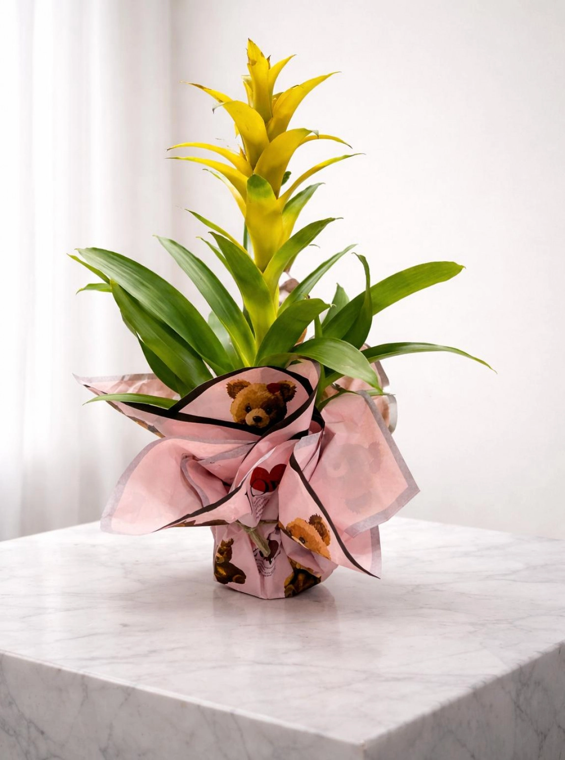 Kuzmanya Çi̇çeği̇