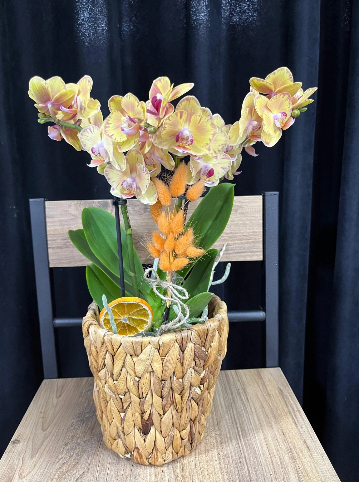 Mi̇ni̇ İthal Hasir Saksili Orki̇de