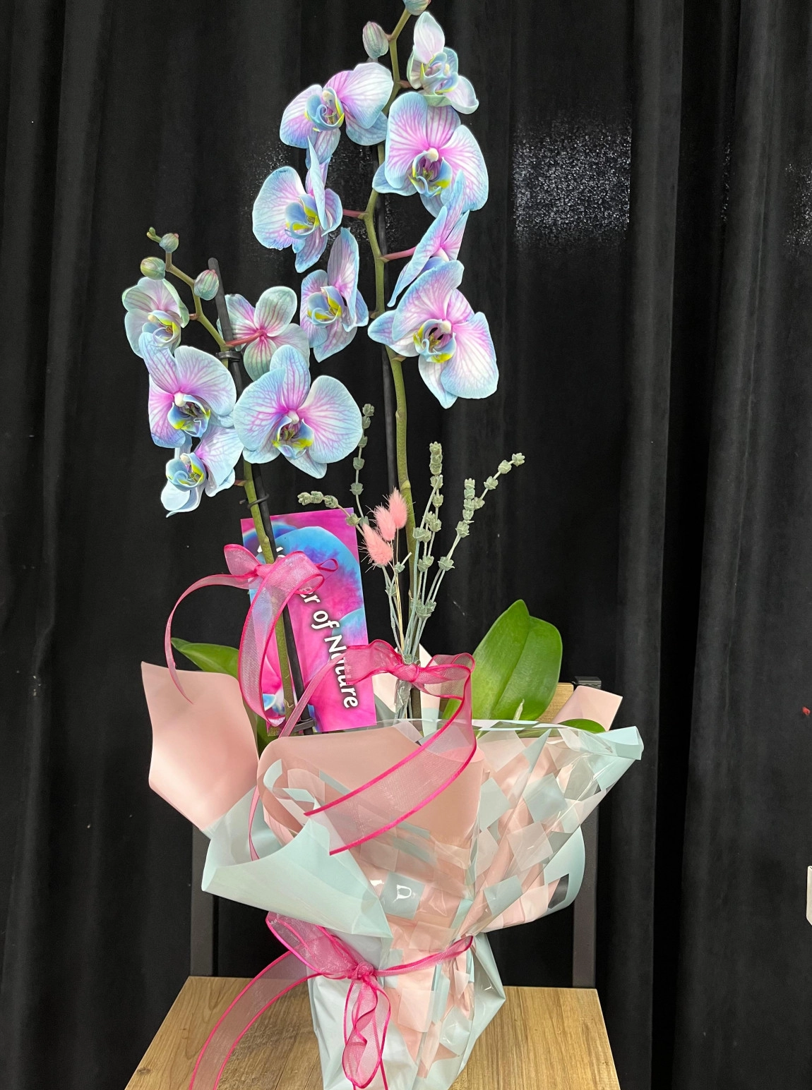 Pembe Mavi̇ İthal Çi̇ft Dal Orki̇de