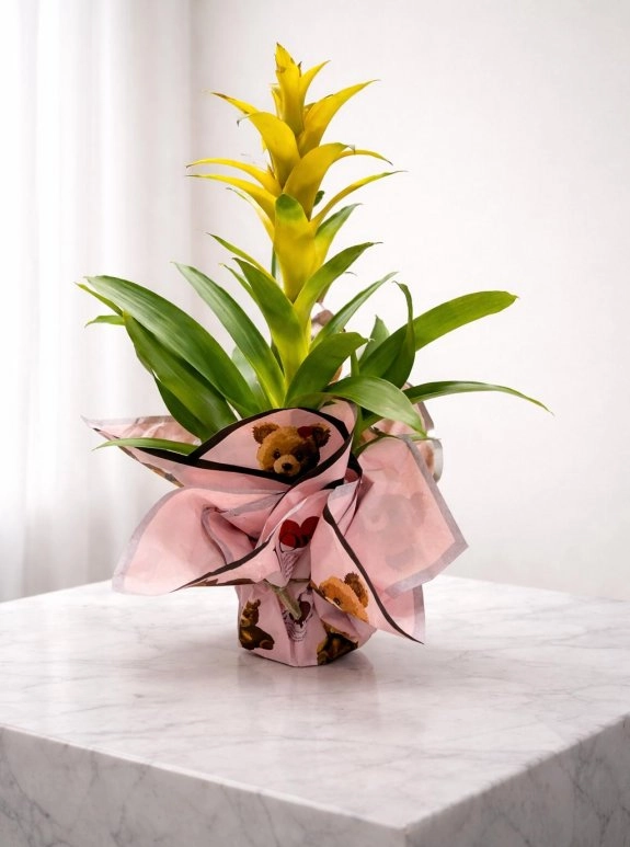 Kuzmanya Çi̇çeği̇