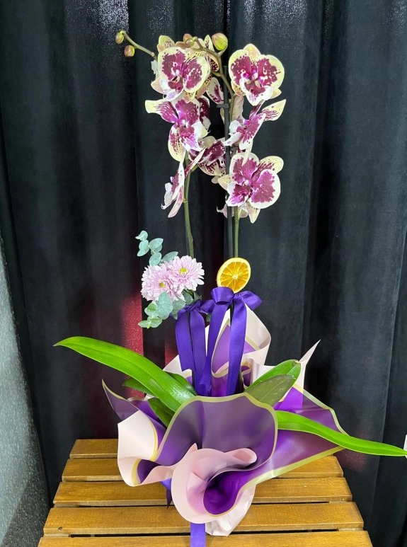 Orki̇de Çi̇ft Dal