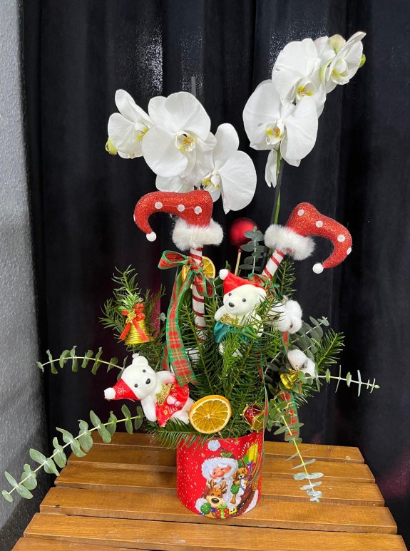 Yilbaşi Aranjmanli  Orki̇de