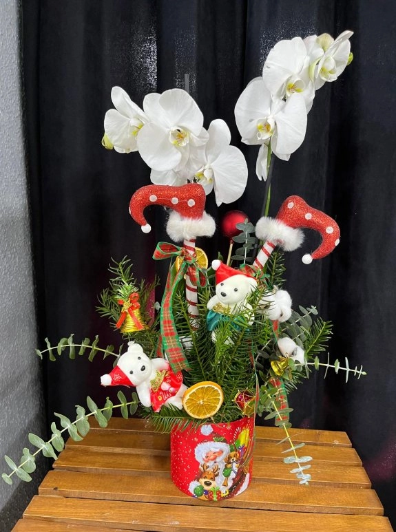 Yilbaşi Aranjmanli  Orki̇de