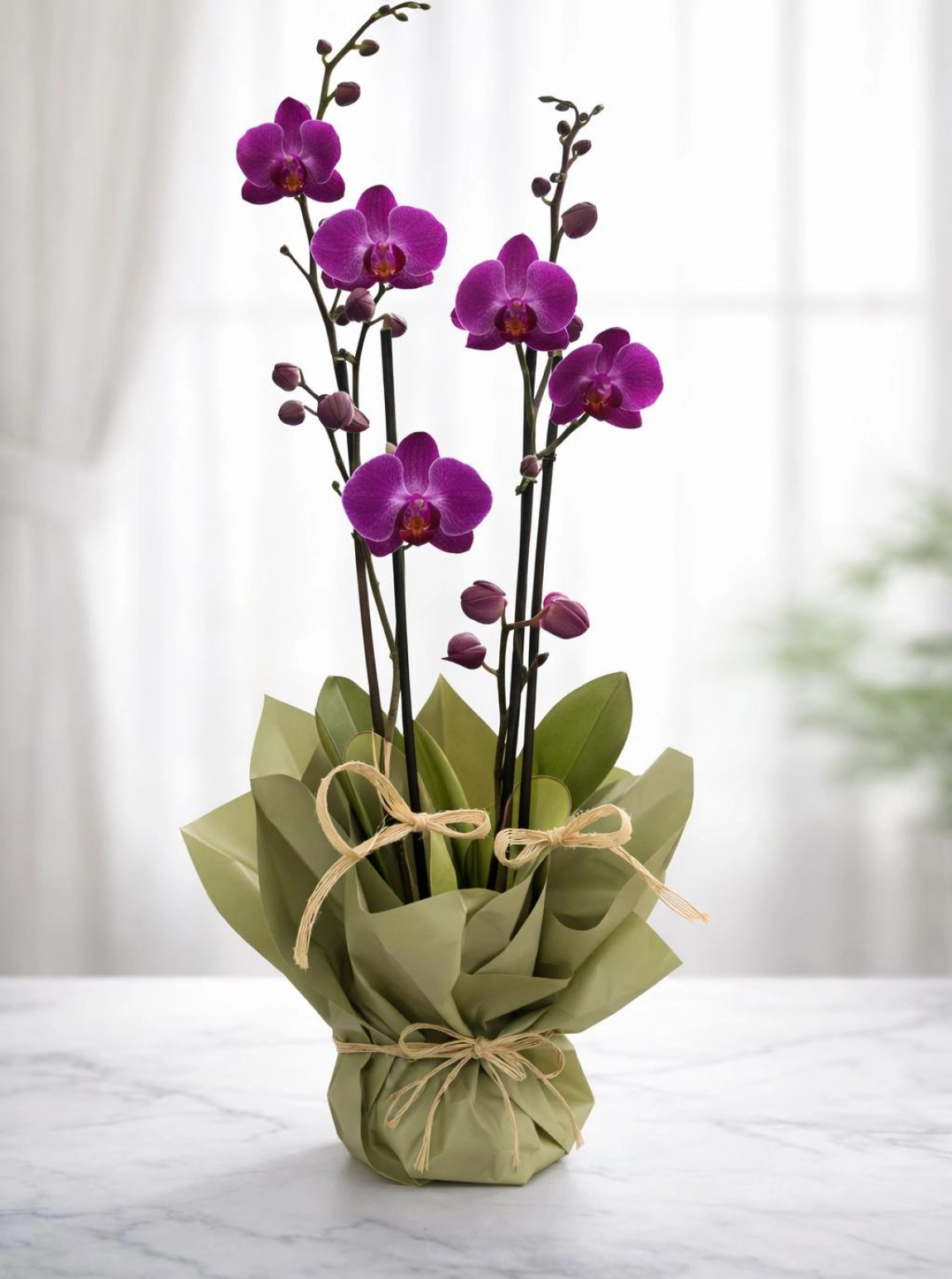 Üç Dal  İthal Orki̇de